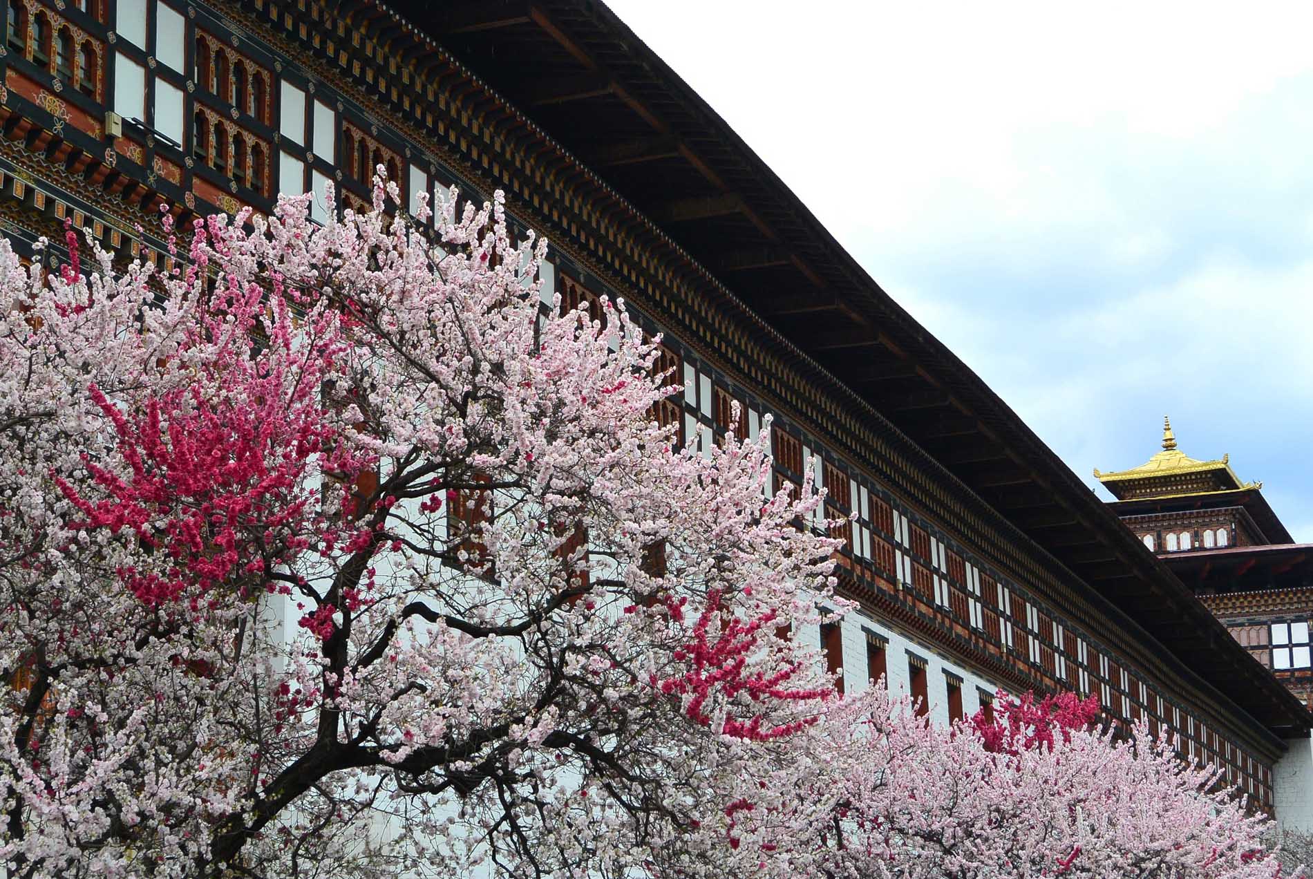 Bhutan